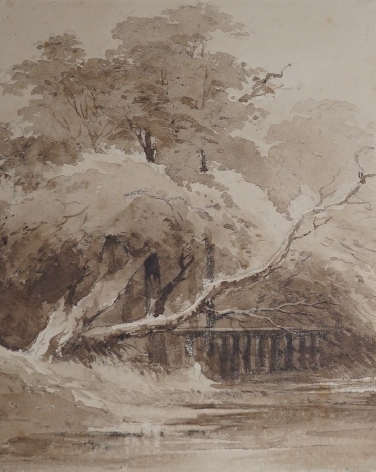 Circle of John Crome (1768-1821), monochrome watercolour, Trees beside a river, bears signature and dated 1806, 24 x 20cm